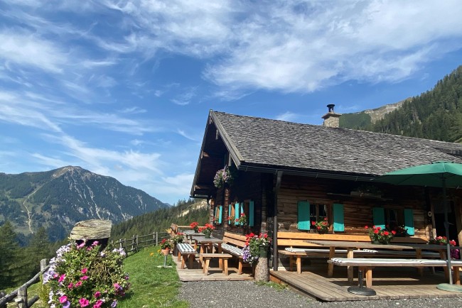 Unterpleisling Alm in Flachauwinkel