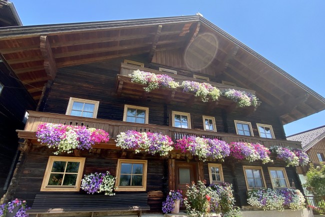 Unterbichlgut in Flachau, Österreich