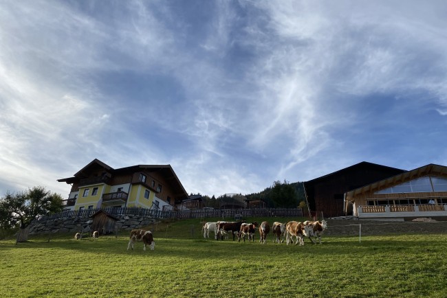 Bauernhaus, Stall und Wiese in Flachau