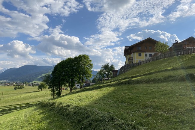 Wiese vor dem Bauernhaus in Flachau