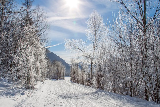 Winterwanderungen in Flachau © Flachau Tourismus_Christian Fischbacher