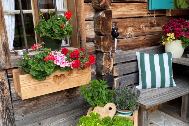 Blumen in der Pleißlingalm