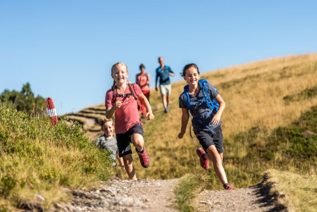 Wandern © Flachau Tourismus_Ulrich Grill